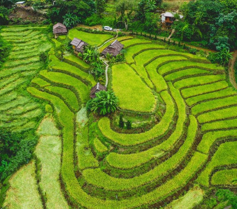 Day Trip Ideas from Chiang Mai to Chiang Rai - Aleenta Retreat Chiang Mai