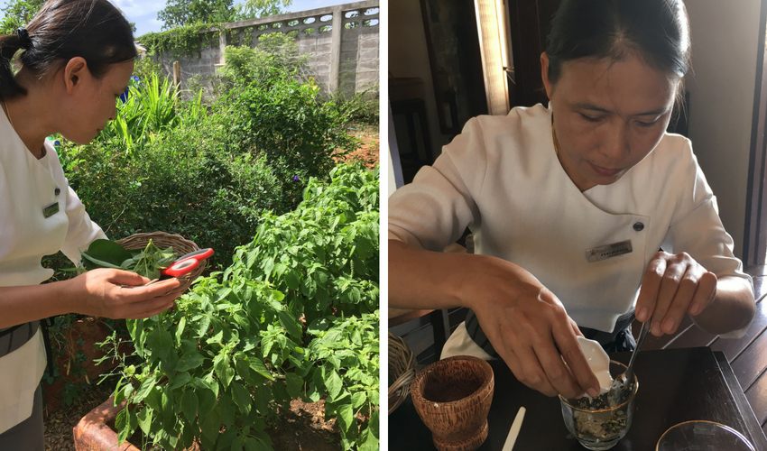Healing benefits of Thai Herbs - Aleenta Hua Hin Resort & Spa