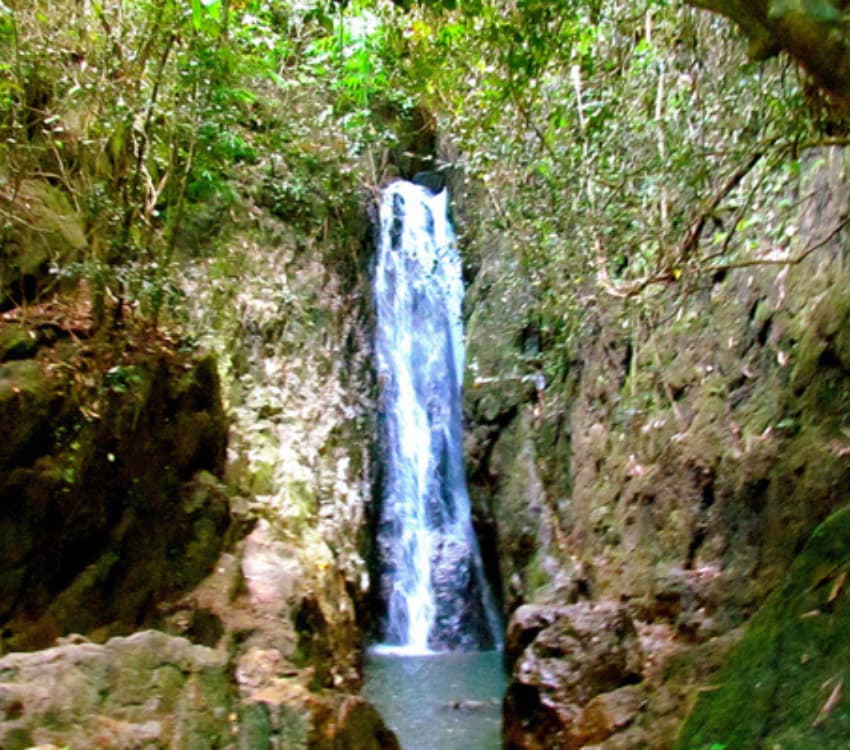 Khao Phra Thaeo National Park - Aleenta Phuket - Phang Nga Resort & Spa