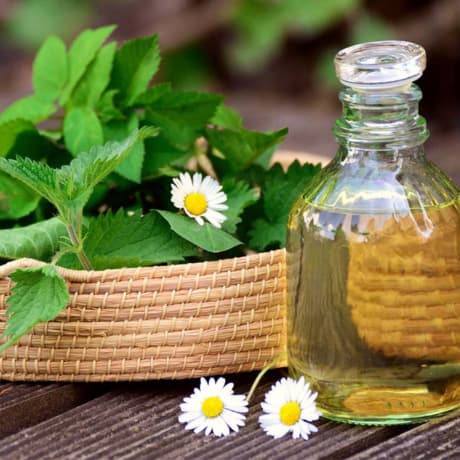 Pain Management and Stress Relief Retreat - Aleenta