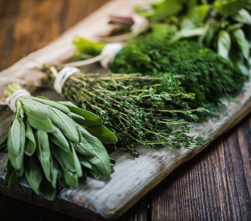 Thailand: The Herbs, the Body, and the Mind - Aleenta Hua Hin - Pranburi Resort & Spa